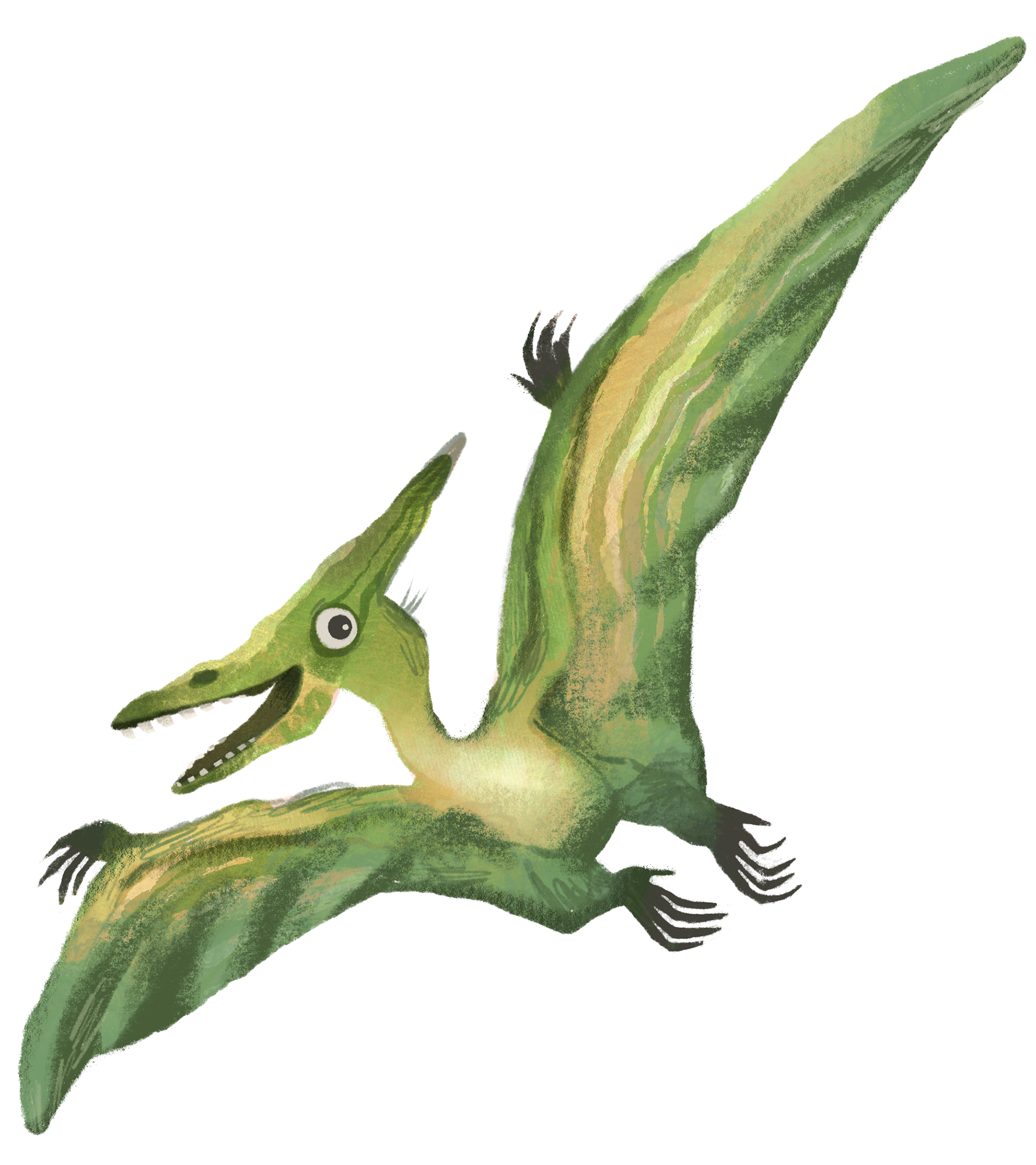 Dino Friends 15